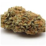 Шишки AK47 (Гидропоника, Бошка) VHQ в Севастополе Шишки AK47 (Гидропоника, Бошка) VHQ в Севастополе