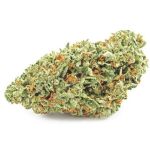 Шишки OG Kush (Гидропоника, бошки) VHQ в Севастополе Шишки OG Kush (Гидропоника, бошки) VHQ в Севастополе